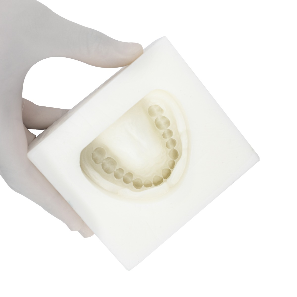 iDENTical Complete Dentulous Cast Moulds -White M8019