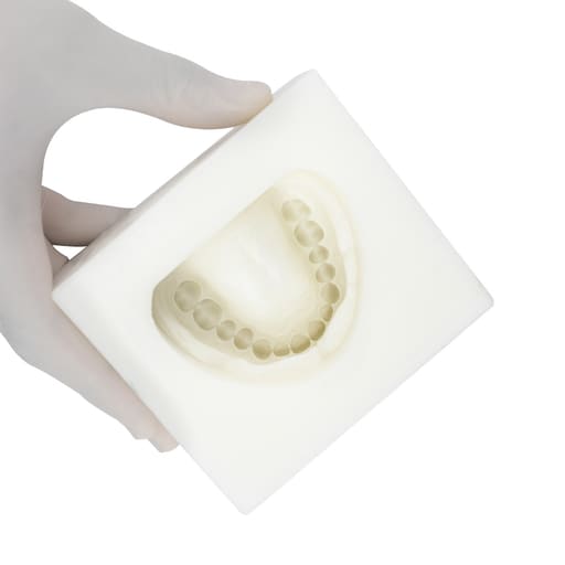 iDENTical Complete Dentulous Cast Moulds -White M8019