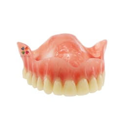 iDENTical Dental Model for Overdenture Maxilla M6001 - 4