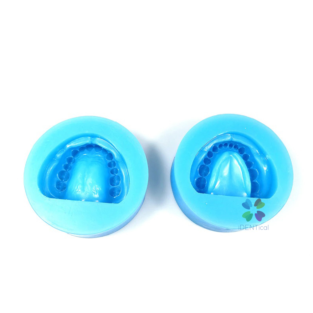 iDENTical Complete Dentulous Cast Moulds -Blue M8019