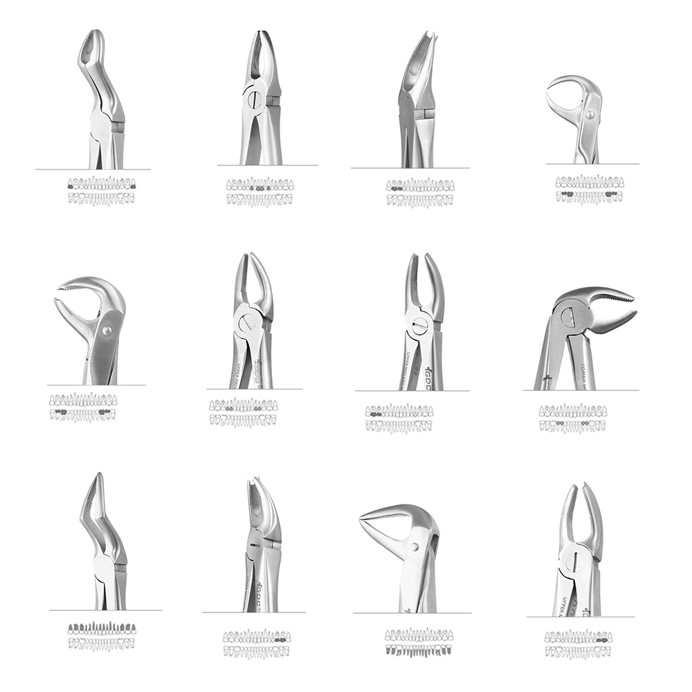 GDC Extraction Forceps Ergonomic