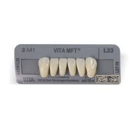 Vita M