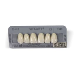 Vita M