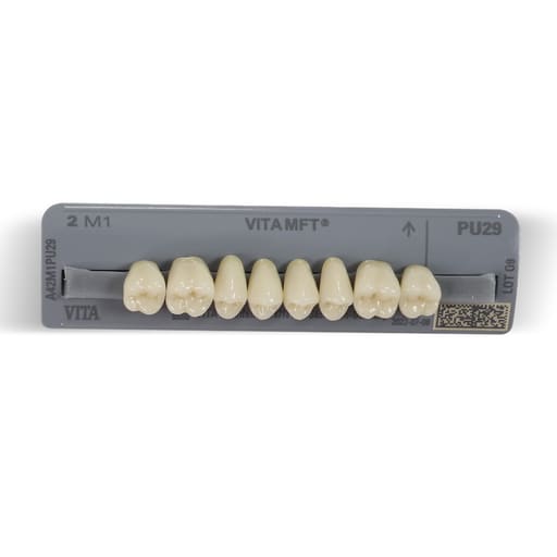 Vita MFT Denture Teeth 2M1 (Set of 28)