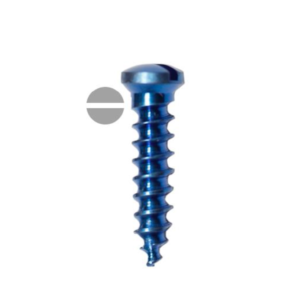 SK Surgicals Titanium Single Slot Screws - 2mm x 5mm (2005T)