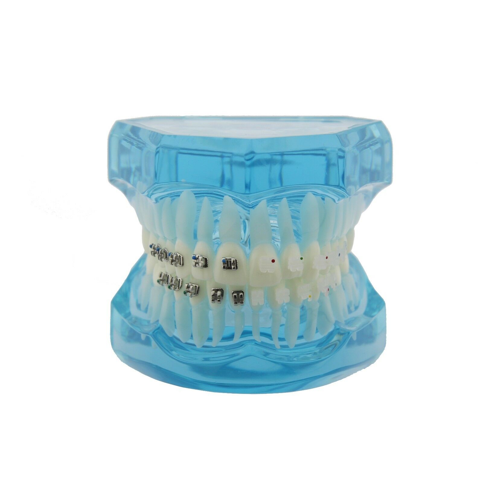 iDENTical Half Metal and Half Ceramic Brackets Orthodontic Models M3003