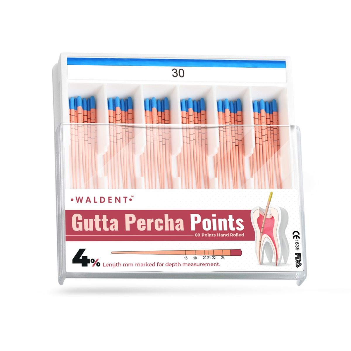 Waldent Gutta Percha Points 4% (Length Marked)