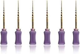 Dentsply Protaper Hand File 21mm S1