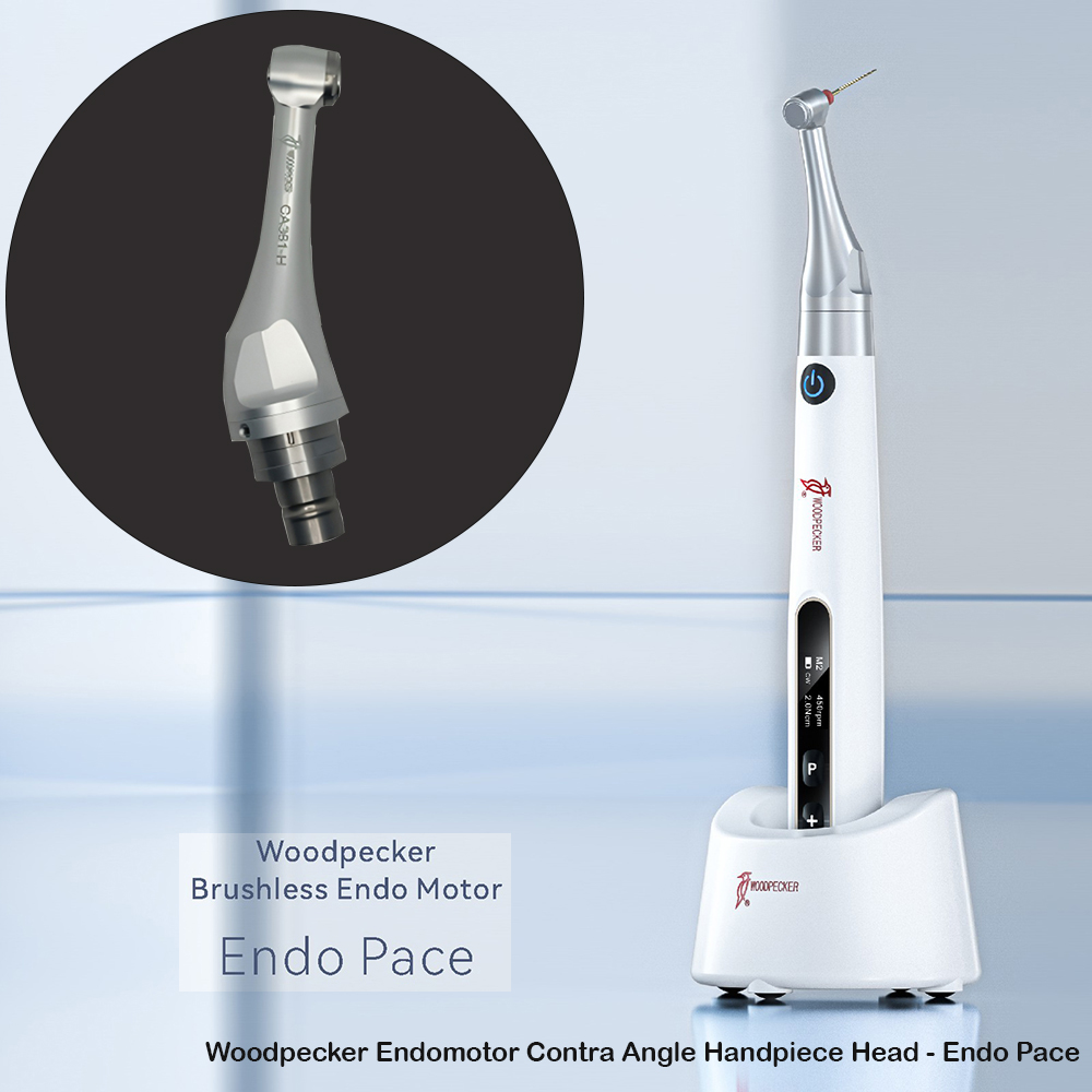 Woodpecker Endomotor Contra Angle Handpiece Heads