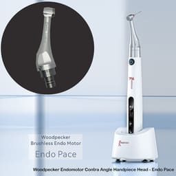 Woodpecker Endomotor Contra Angle Handpiece Heads - 8