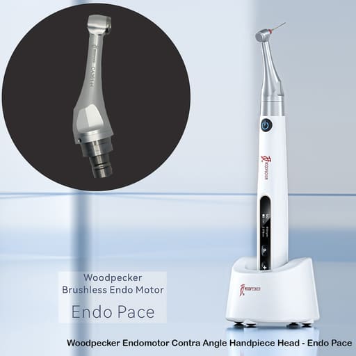 Woodpecker Endomotor Contra Angle Handpiece Heads