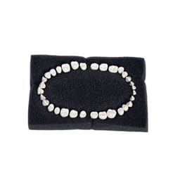 API Typodont Teeth Set of 32 with Screw - B561