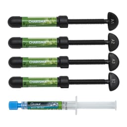 Kulzer Charisma Smart Composite 4 Syringe Kit - 3