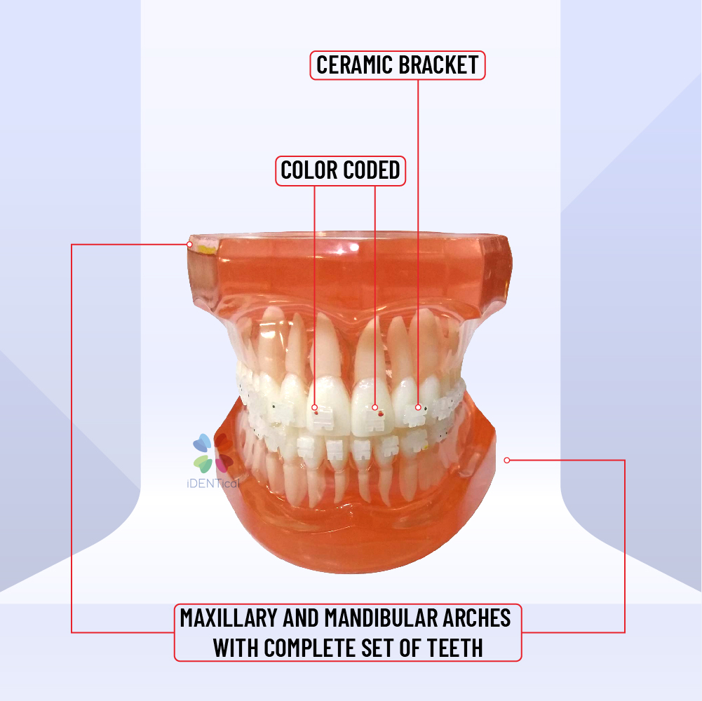 iDENTical Complete Ceramic Bracket Model MD-121