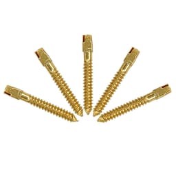 EndoKing Dental Conical Screw Posts  - 6