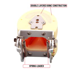 iDENTical Dental Implant Practicing Model With Articulator - M2002 - 4