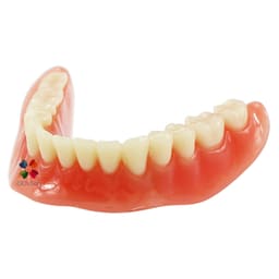 iDENTical Mandibular Overdenture Model with 2 Implants M6002 - 8