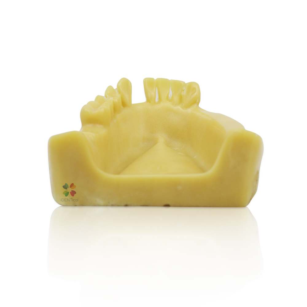  iDENTical Mandibular Implant Practicing Model M2028