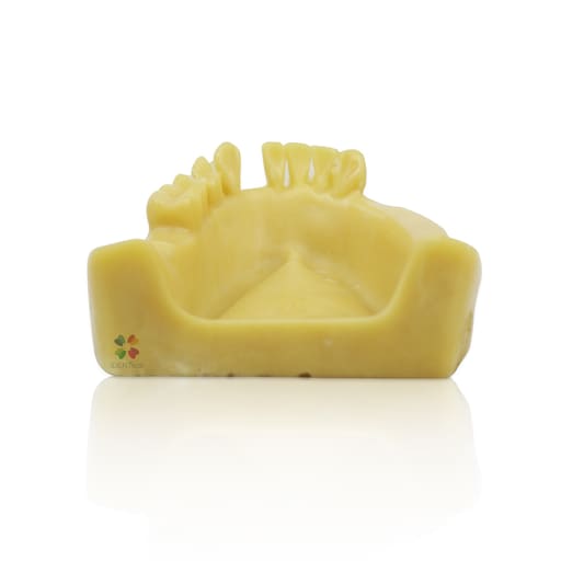  iDENTical Mandibular Implant Practicing Model M2028