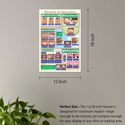 Unique Dents Dental Education Posters (DWP01) - Set Of 6  - 2