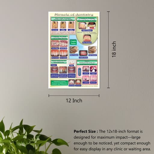 Unique Dents Dental Education Posters (DWP01) - Set Of 6 