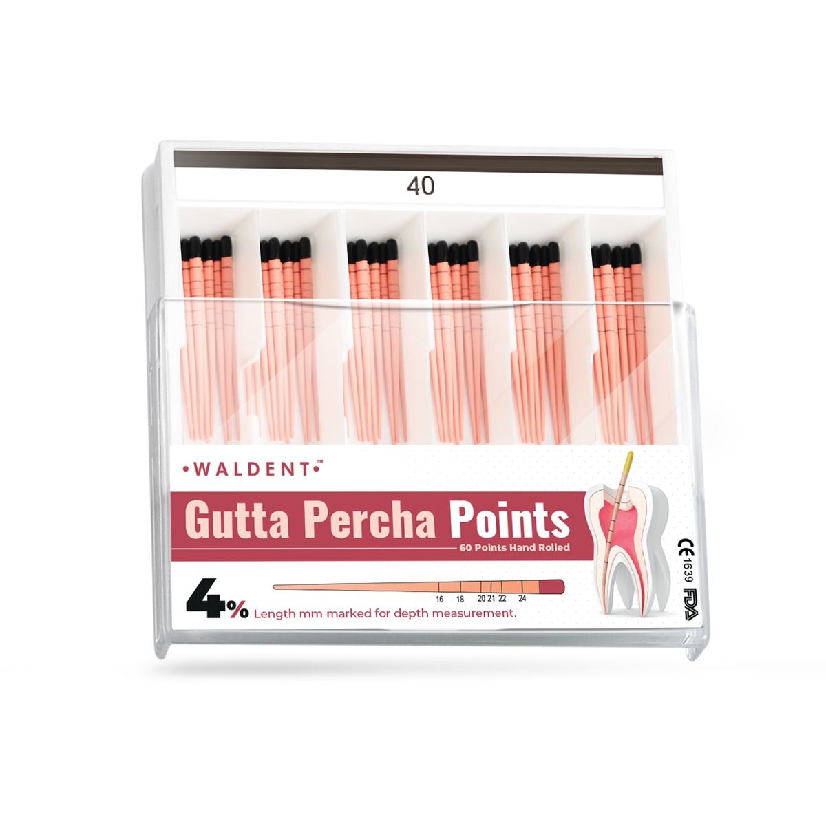 Waldent Gutta Percha Points 4% (Length Marked)