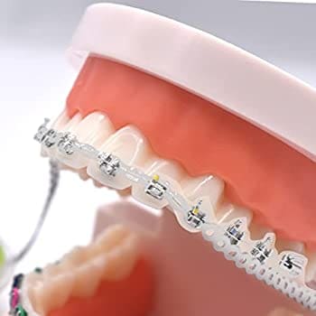 Phyx Elastic Chain