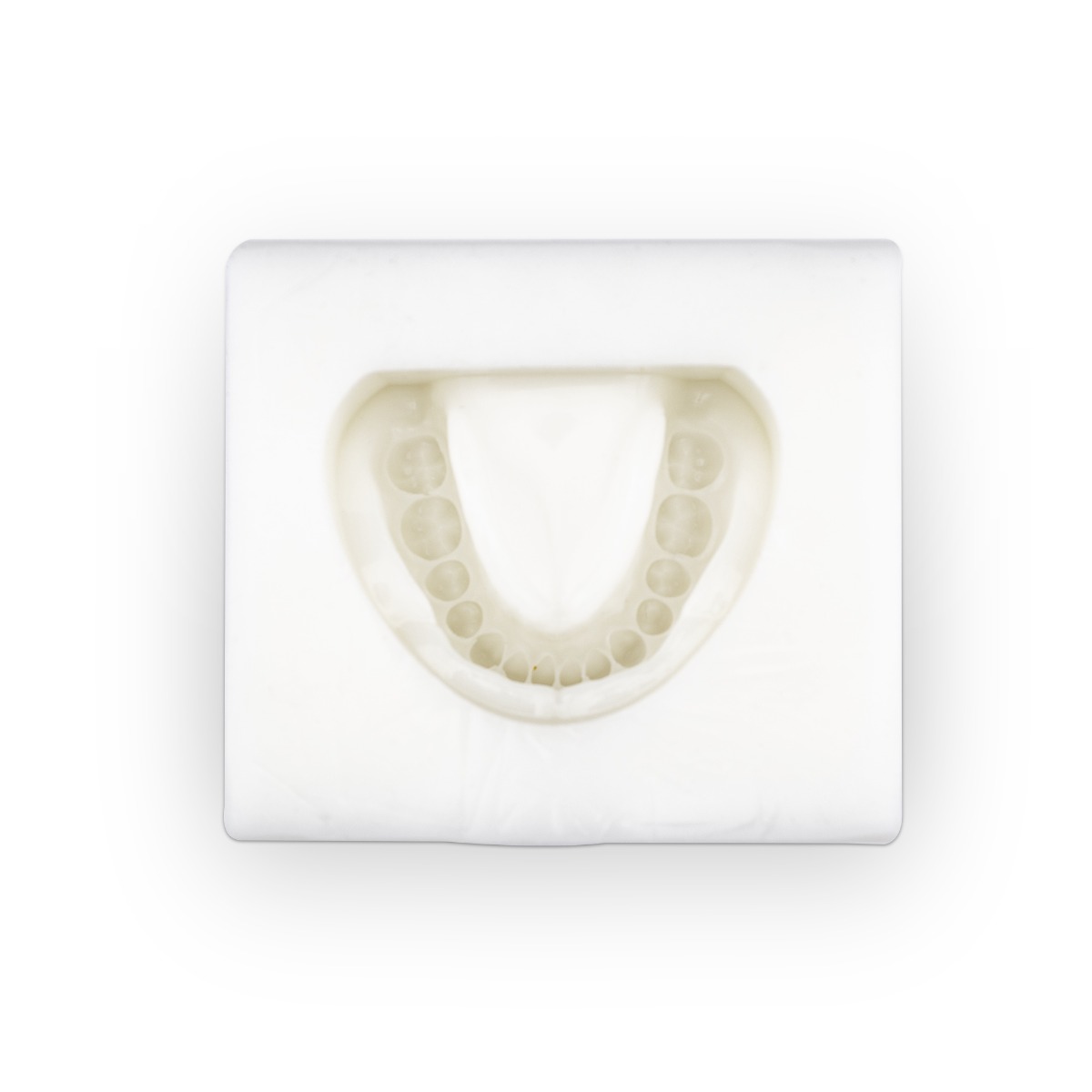 iDENTical Complete Dentulous Cast Moulds -White M8019