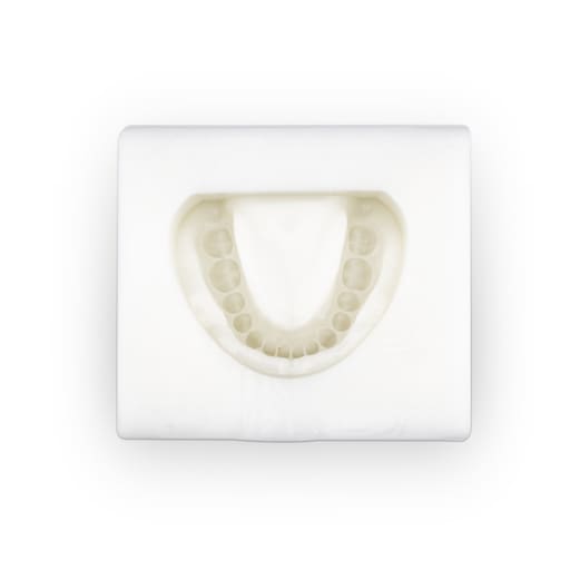 iDENTical Complete Dentulous Cast Moulds -White M8019