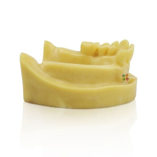  iDENTical Mandibular Implant Practicing Model M2028
