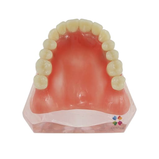iDENTical Dental Model for Overdenture Maxilla M6001