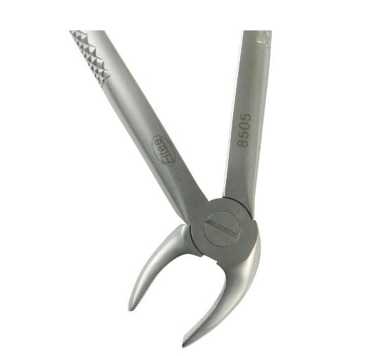 Eltee Forceps Lower Anteriors Central & Lateral - EF-004
