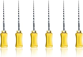 Dentsply Protaper Hand File 21mm F1