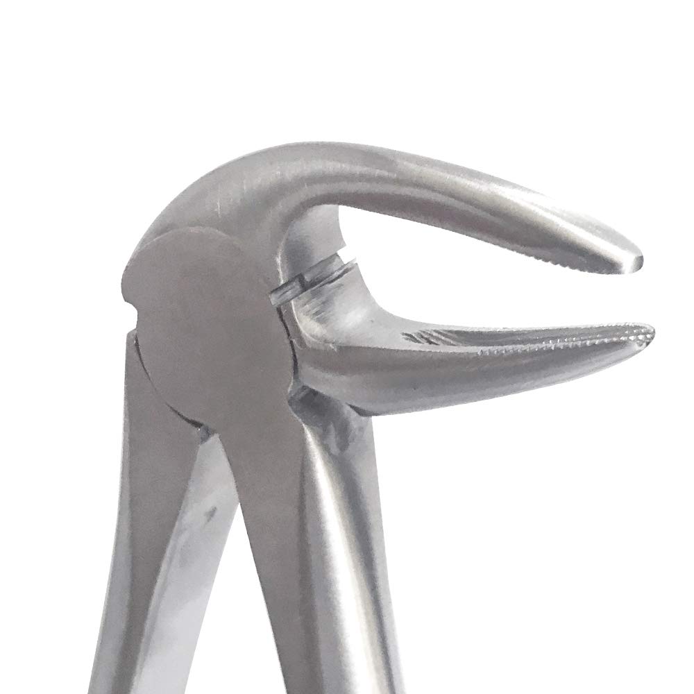 GDC Extraction Forceps Lower Roots - 33L Standard (FX33LS)