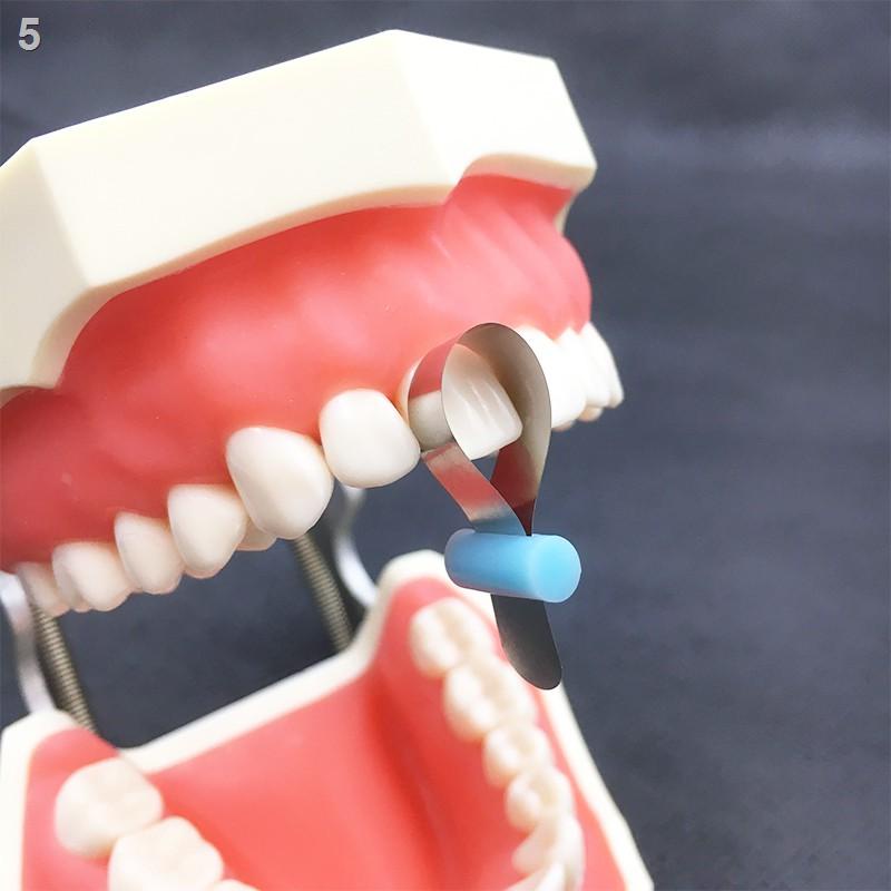 ET Dental Automatrix Metal Bands With Locker