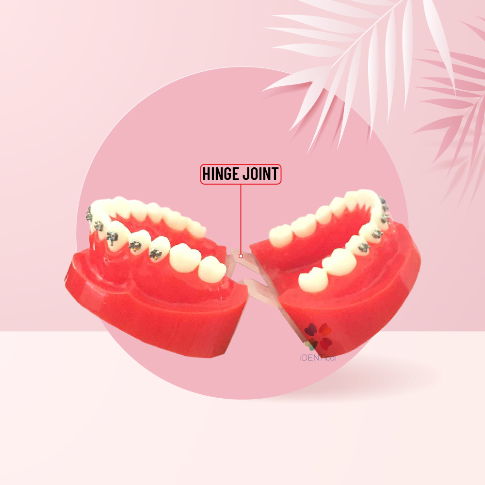 iDENTical Complete Metal Bracket Model M3001-Red