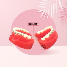 iDENTical Complete Metal Bracket Model M3001-Red - 9