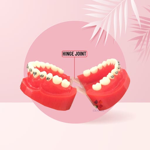 iDENTical Complete Metal Bracket Model M3001-Red