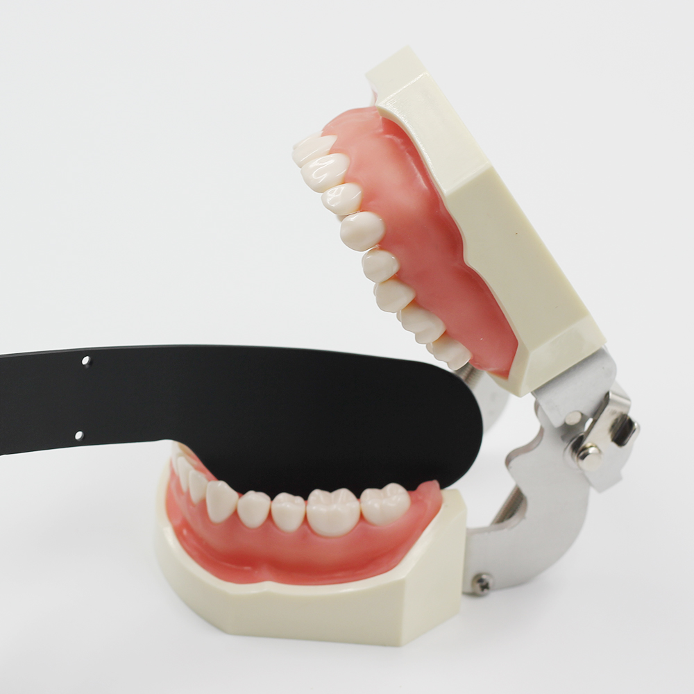 Julldent Contrastor for Dental Photography