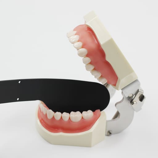 Julldent Contrastor for Dental Photography