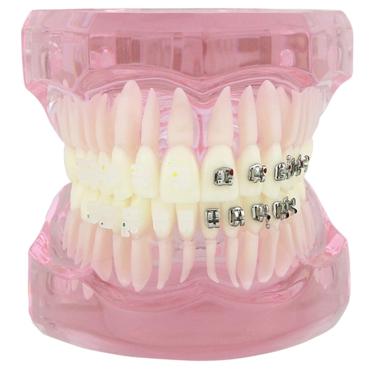 iDENTical Half Metal and Half Ceramic Brackets Orthodontic Models M3003