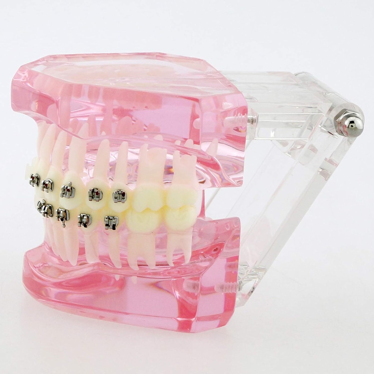 iDENTical Half Metal and Half Ceramic Brackets Orthodontic Models M3003