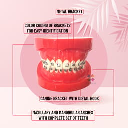 iDENTical Complete Metal Bracket Model M3001-Red - 7