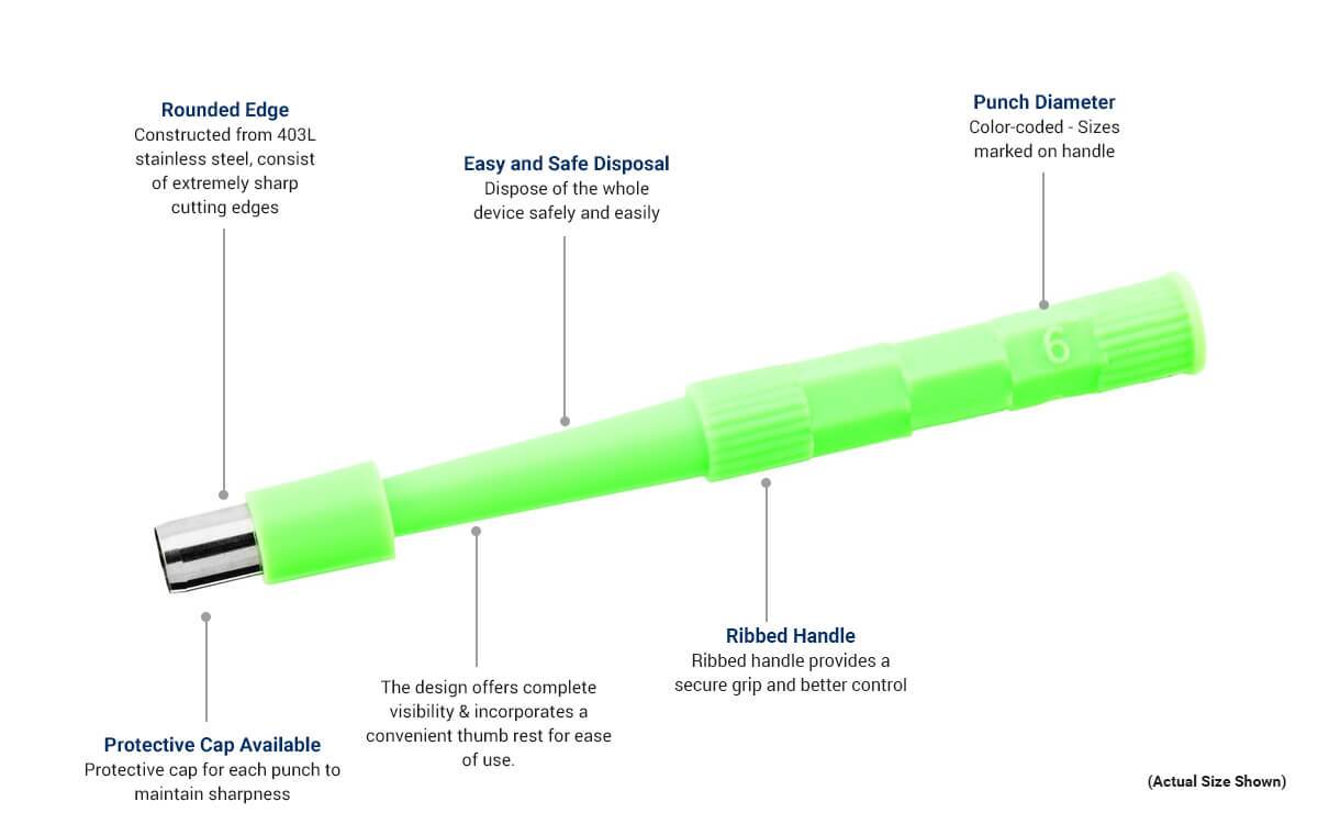 Disposable Biopsy Punch Standard