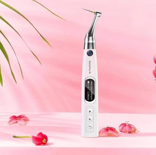 Woodpecker Motopex-M Endo Motor (2 Packet Wal-Flex Free)