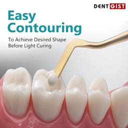 DentGist NanoCom Restorative Composite Refills 4g - 12