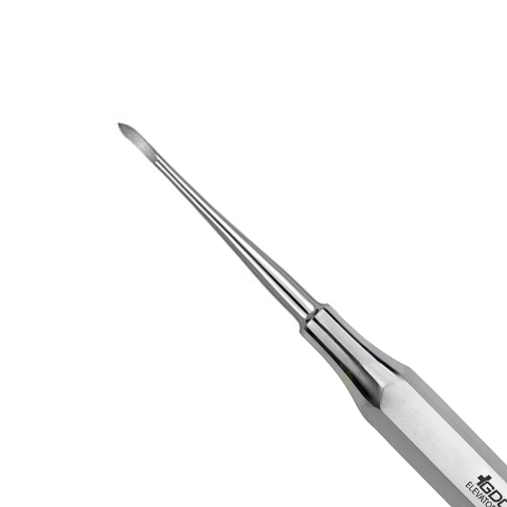 GDC Root Elevators Root Tip Pick Heidbrink - Straight (Ehb1)