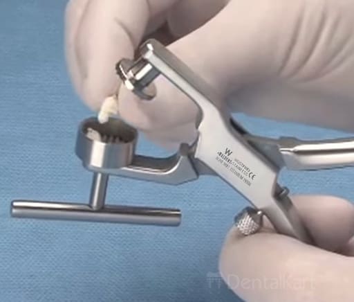 Waldent Bone Mill Pliers (Morselizer) Titanium Head 17cm (19/101)