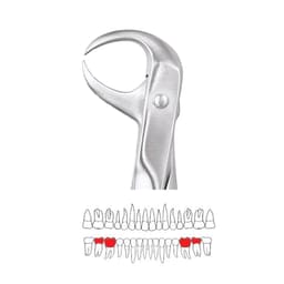 GDC Extraction Forceps Lower Molars - 86 Standard (FX86S)