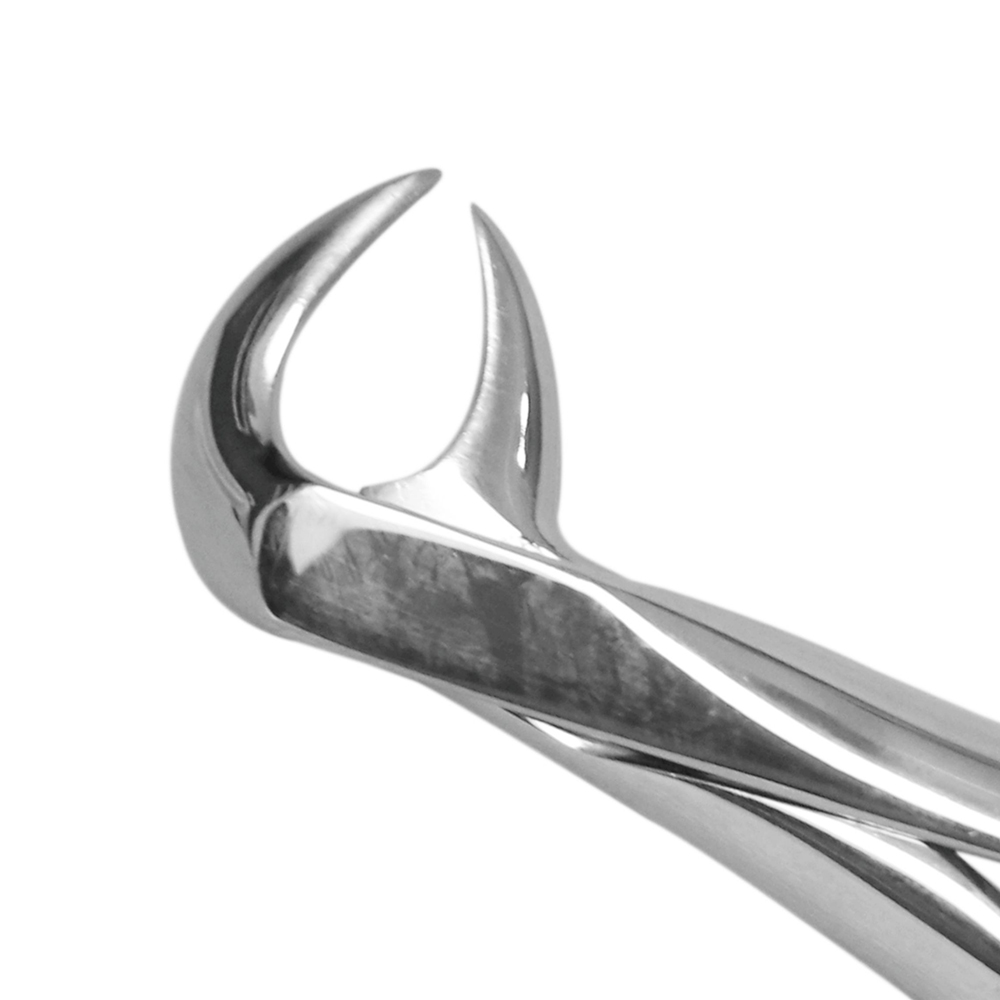 GDC Extraction Forceps Lower Molars - 86A Premium (FX86AP)